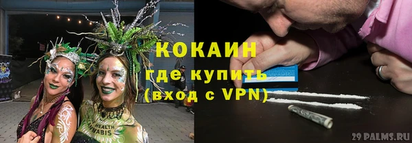 ешки Арсеньев