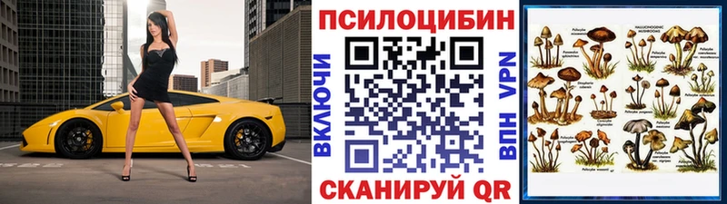 Псилоцибиновые грибы мицелий Артёмовск